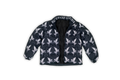 IACCAM